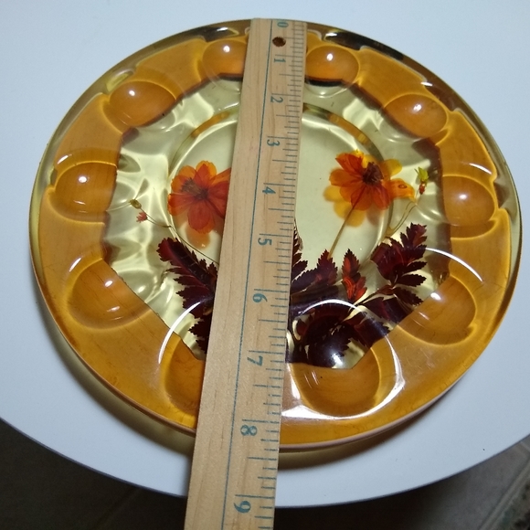 GORGEOUS VTG Acrylic/resin Devill Eggs or Escargot Footed Plate Pressed flowers - Picture 4 of 7